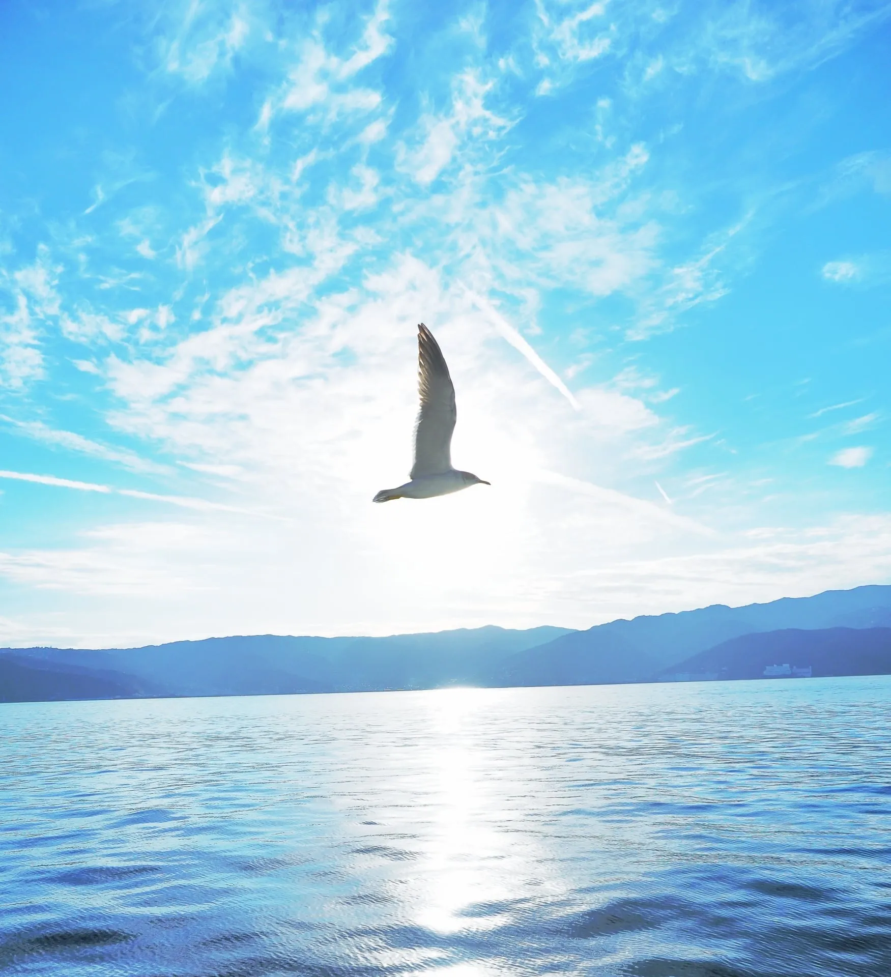 あおば法律事務所