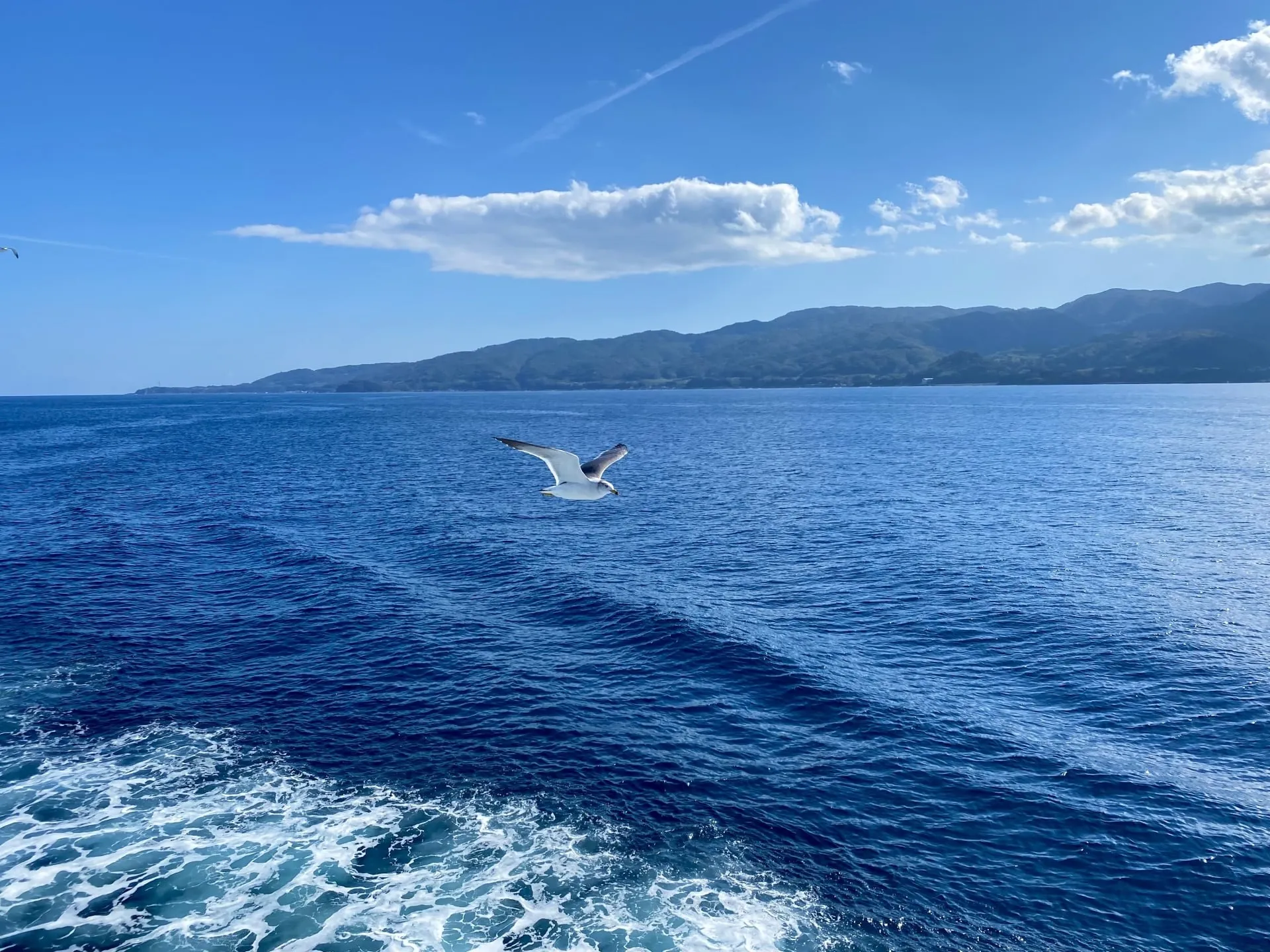 あおば法律事務所